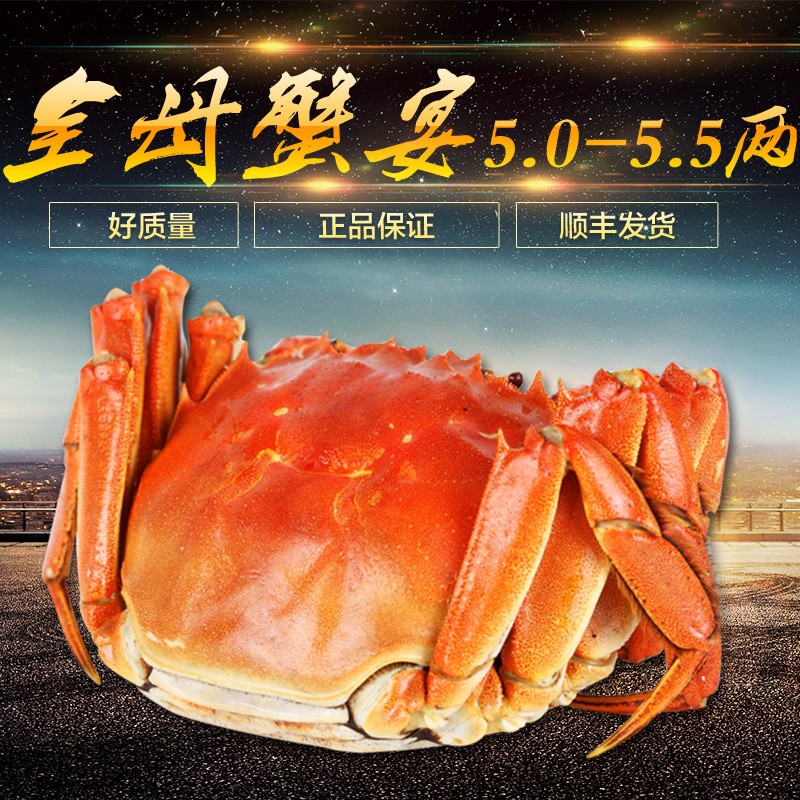 阳澄湖大闸蟹全母蟹套餐5.0-5.5两鲜活螃蟹礼盒代发【5两母蟹】