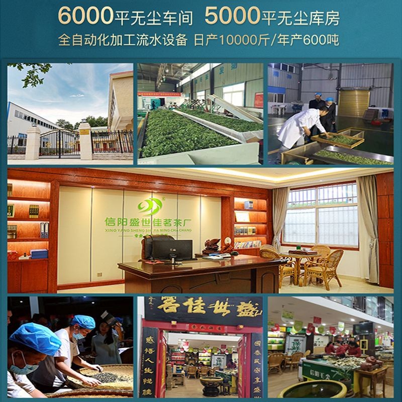 盛世佳茗2021新茶信阳毛尖散装明前春茶原产地厂家批发高山绿茶叶图3