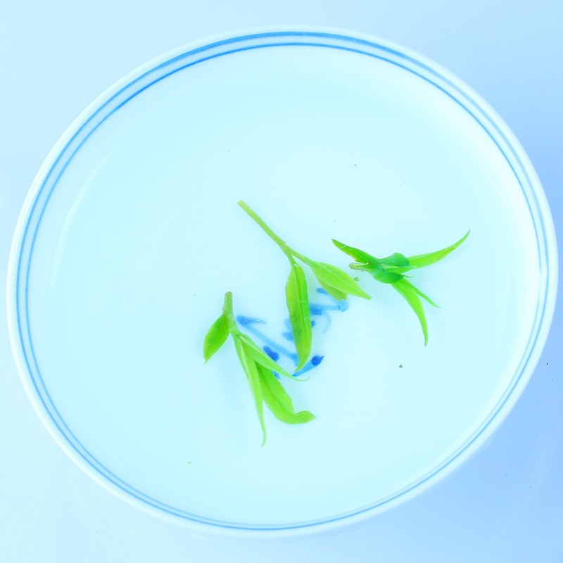 碧云涧新茶早春嫩芽青山绿水小叶苦丁散装茶叶毛冬青茶图4