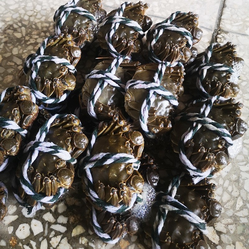 大闸蟹螃蟹现货现补六月黄兴化河蟹批发鲜活提货送礼卡供阳澄湖镇图2