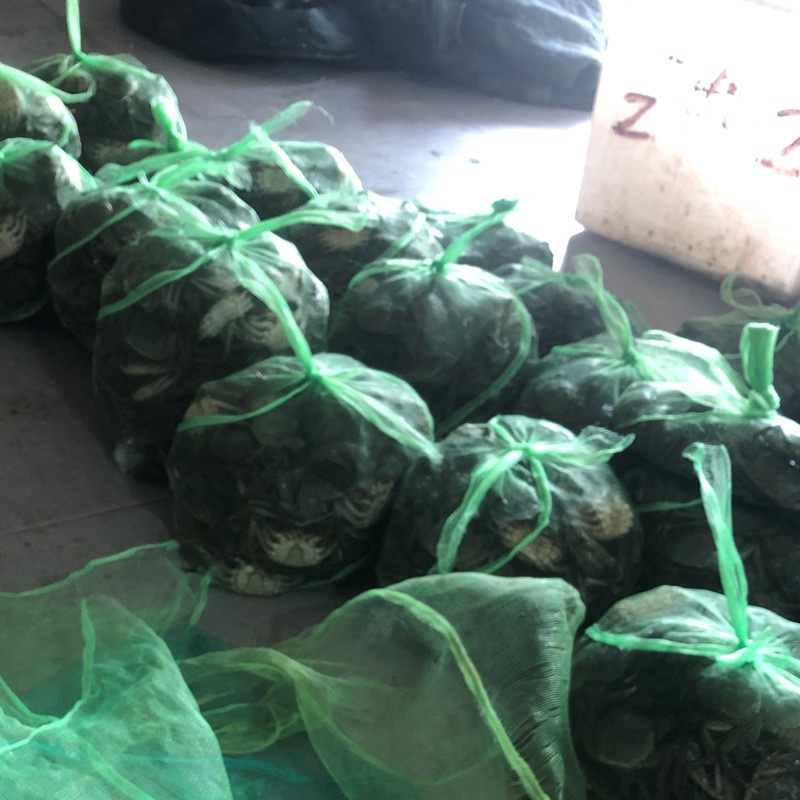 大闸蟹螃蟹现货现补六月黄兴化河蟹批发鲜活提货送礼卡供阳澄湖镇图4