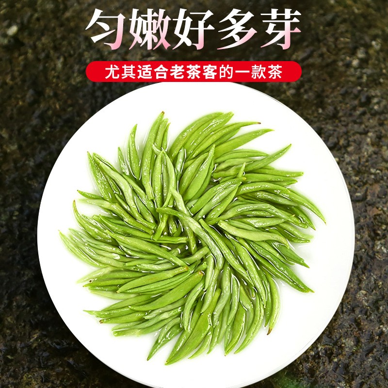 新茶明前散装碧螺春 高山云雾绿茶芽多显毫 日照绿茶茶叶500g批发图4