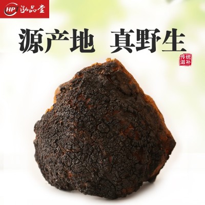 产地批发桦树茸 500g东北特产长白山带黑金大个白桦茸桦褐孔菌