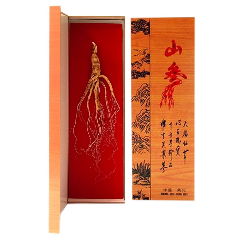 随手礼人参礼盒展销小人参盒装长白山人参会销点评地摊人参赠品图5