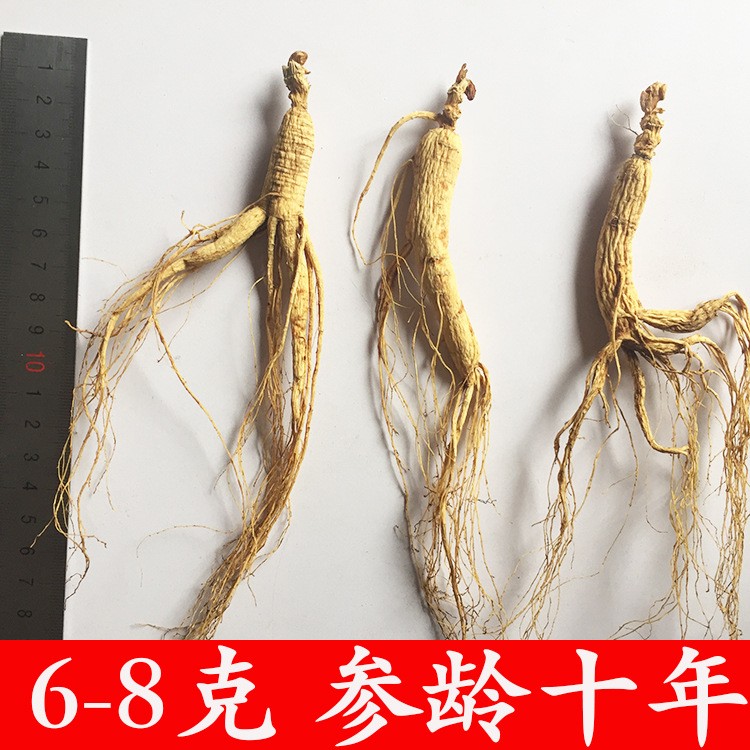 自产自销 批发长白山山参 林下参十年根6-8克