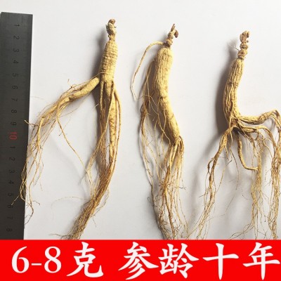 自产自销 批发长白山山参 林下参十年根6-8克