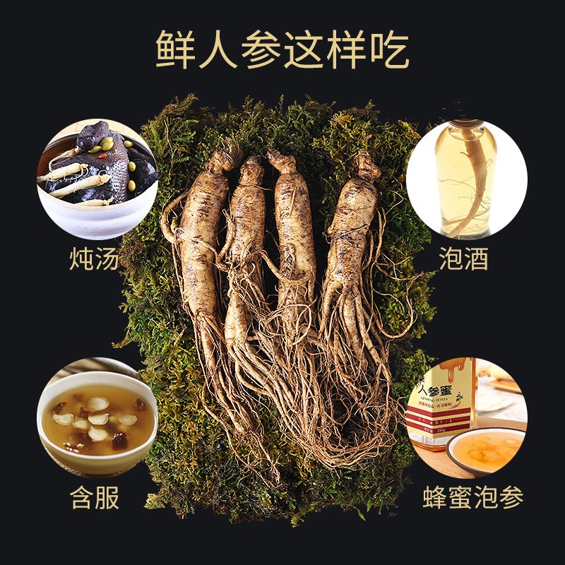 批发长白山带土鲜人参泡酒保鲜参可代发产地货源吉林1元鲜参图4