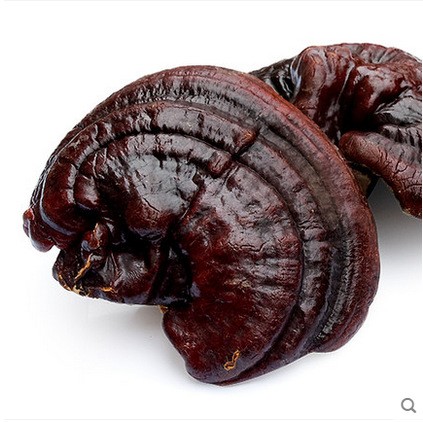 长白山灵芝500g 紫灵芝 东北灵芝片 紫芝批发图3
