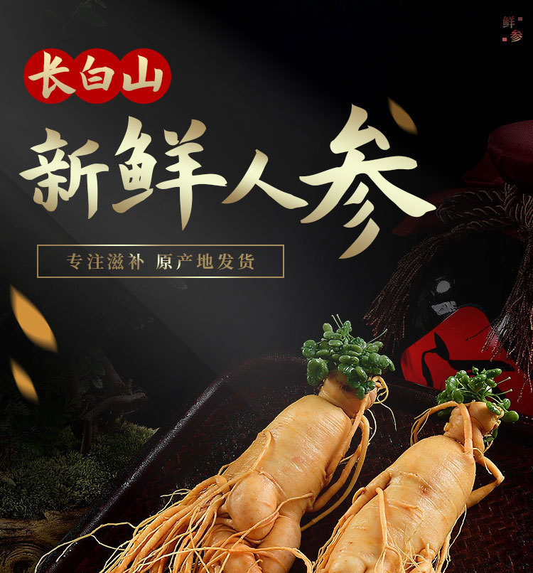保鲜参_01