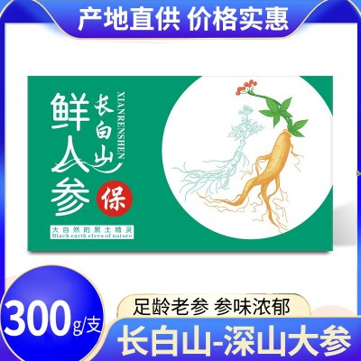【深山大人参】长白山鲜人参单支300g礼盒装 礼品盒人参 厂家批发
