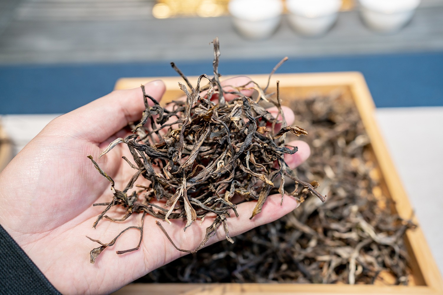 懂过古树普洱生茶500g 蜜香兰花香晒青散毛茶 源头产地茶叶批发图5
