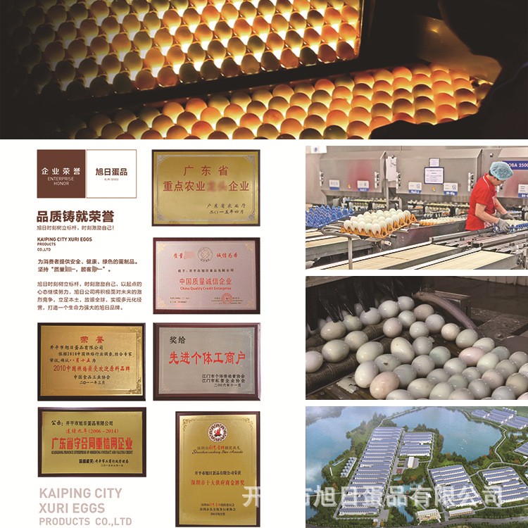 旭日现货供应咸鸭蛋蛋黄粉食品级 烘焙原料 可批发零售 500G/袋图4