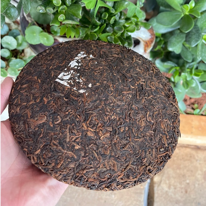云南普洱茶357克七子饼茶熟普洱临沧勐库冰岛古树熟茶饼批发图3