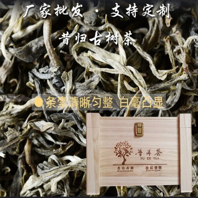 厂家批发 云南普洱茶生茶散茶昔归头春古树纯料500g礼盒装茶叶