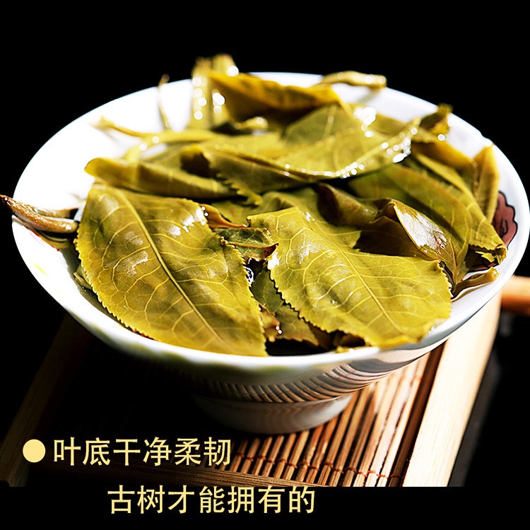 厂家批发 云南普洱茶生茶散茶昔归头春古树纯料500g礼盒装茶叶图4