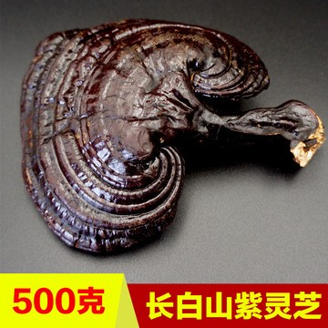 批发长白山紫灵芝 东北泡酒料500g特产养殖灵芝 免费切片代发图3