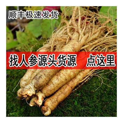 长白山鲜人参吉林带土鲜参东北特产人参煲汤泡酒500g顺丰包邮代发