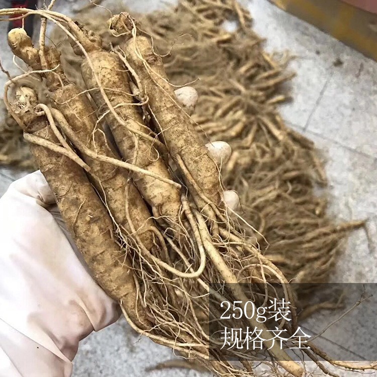 长白山特产保鲜参250g 多种规格带土鲜人参泡酒料酒瓶参现货批发图3