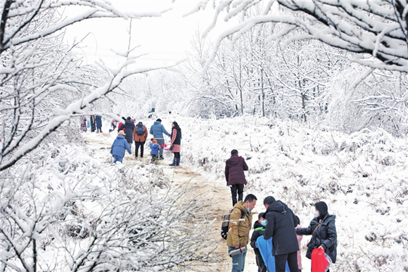 游客欣赏雪景。通讯员 代娟 摄