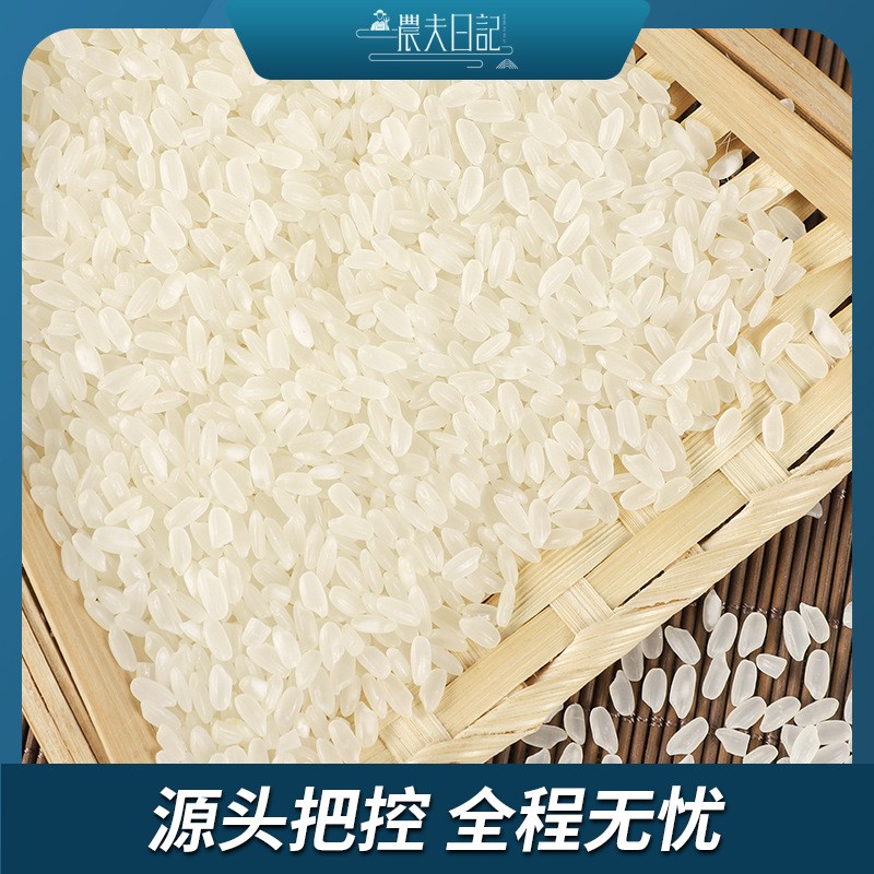 批发东北大米长粒香米5kg10斤 2021年新米黑龙江特产粳米可图3