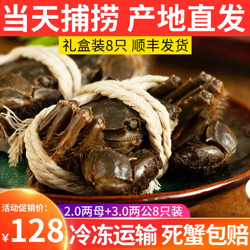 批发大闸蟹鲜活螃蟹公母3两-2.0两挑膏蟹 专卖店酒店指定用蟹河蟹图1
