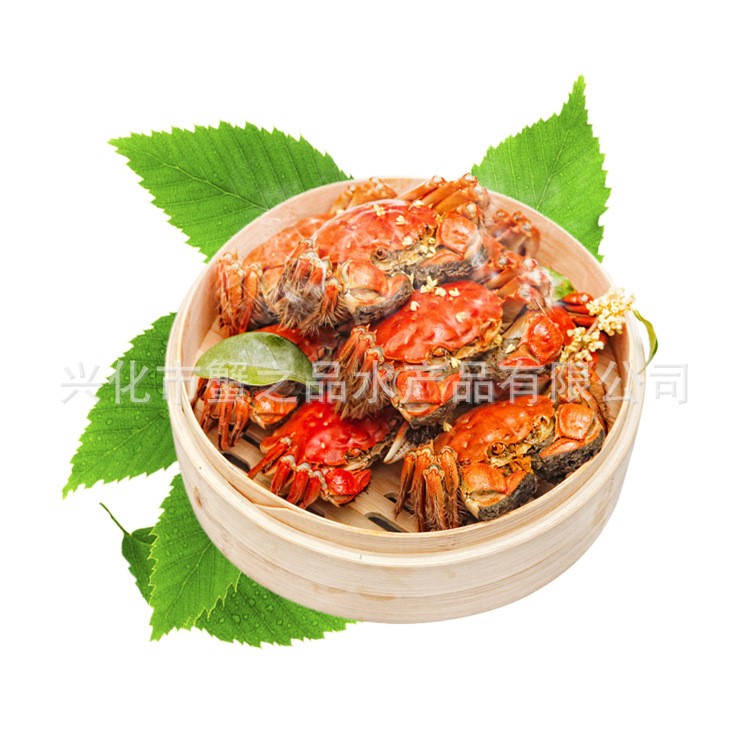 批发大闸蟹鲜活螃蟹公母3两-2.0两挑膏蟹 专卖店酒店指定用蟹河蟹图5