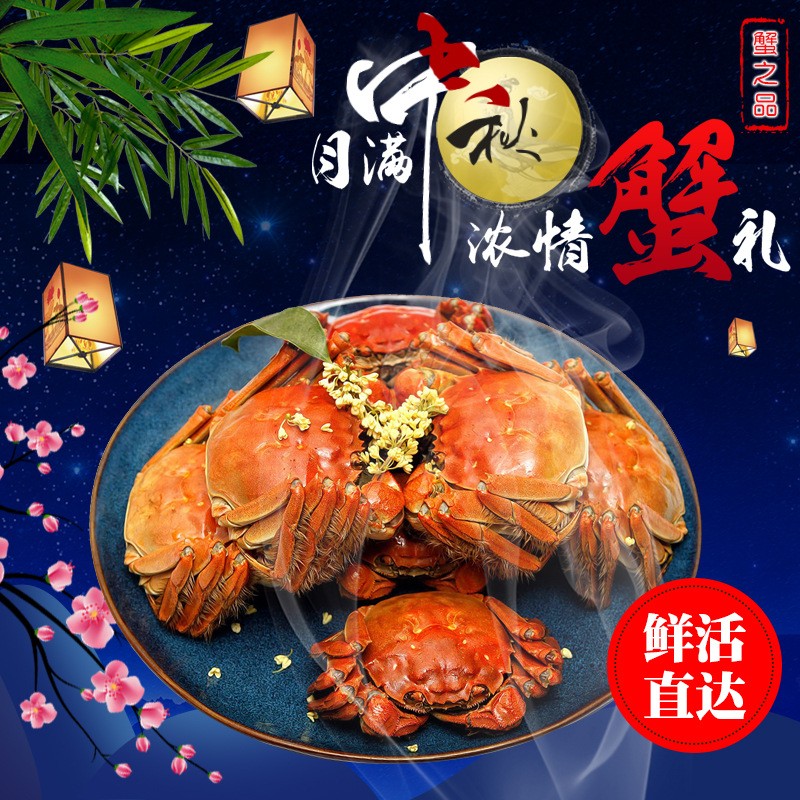 2.5两母螃蟹10只 蟹批发 散称鲜活大闸蟹批发 养殖基地供应 河蟹图2