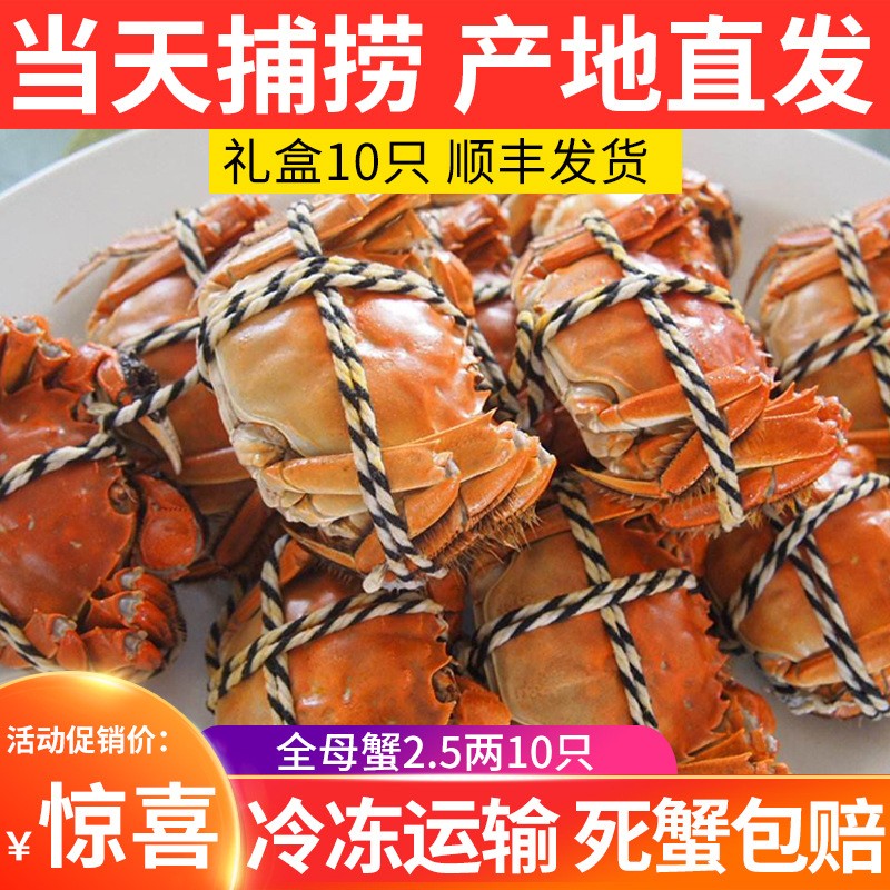 2.5两母螃蟹10只 蟹批发 散称鲜活大闸蟹批发 养殖基地供应 河蟹图1