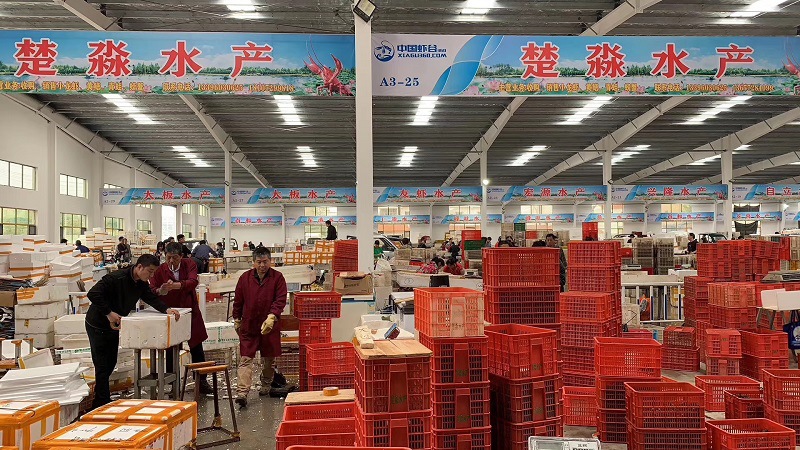 档口图片