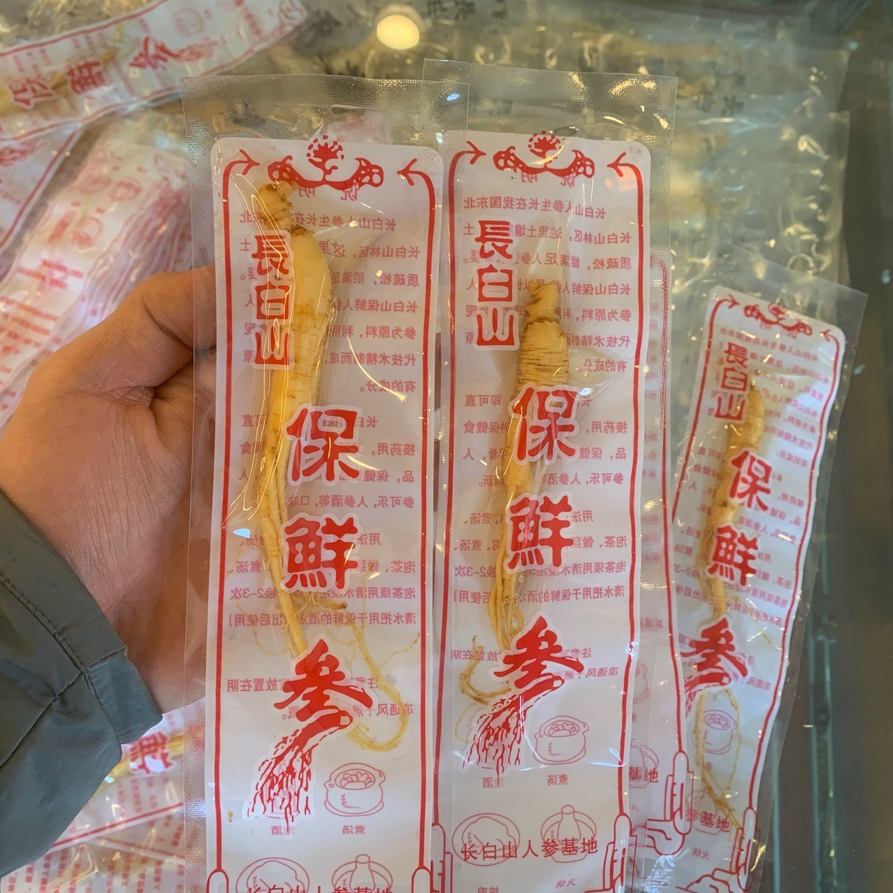 长白山人参 新鲜保鲜参8毛一根 大量批发图2