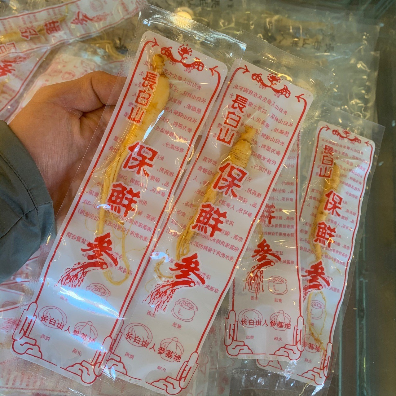 长白山人参 新鲜保鲜参8毛一根 大量批发图3