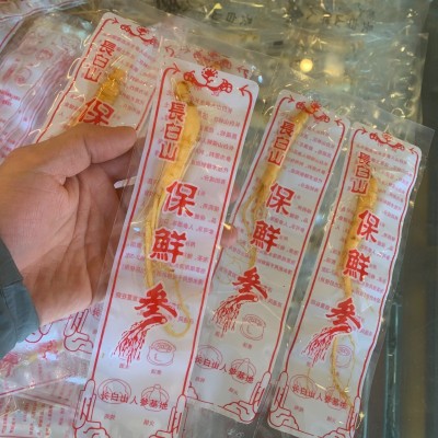 长白山人参 新鲜保鲜参8毛一根 大量批发