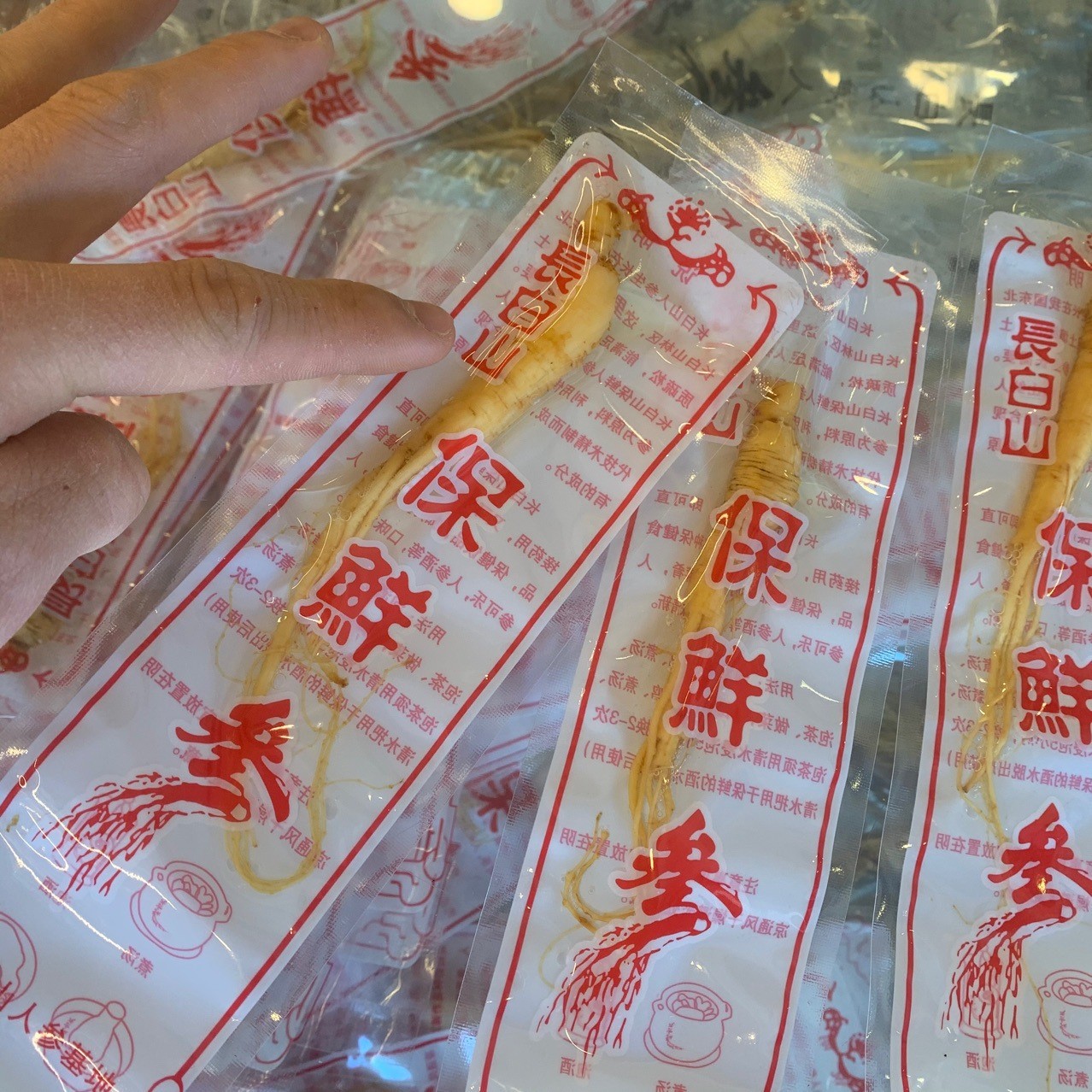 长白山人参 新鲜保鲜参8毛一根 大量批发图4