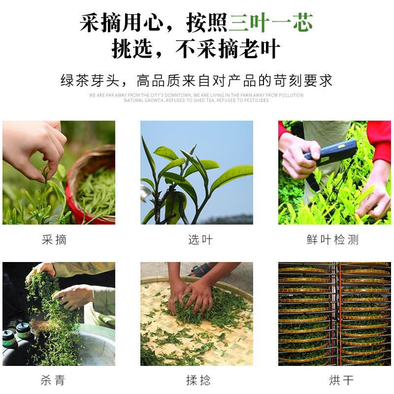 产地货源高山 祁门红茶 厂家直售祁红金针制作现货图2