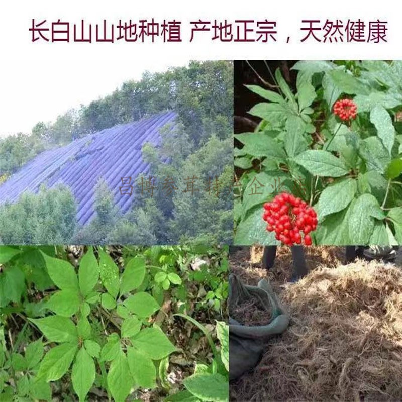 厂家直售东北吉林长白山特产红参礼盒滋补煲汤送礼货源厂家批发图5