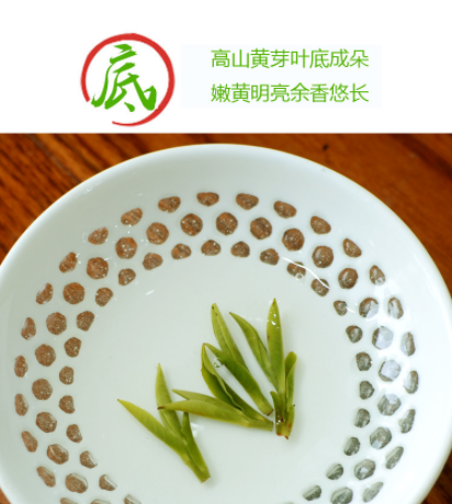 2021新茶霍山黄芽茶叶黄茶明前特一级安徽春茶散装250克图4