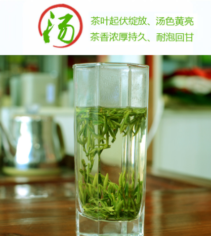 2021新茶霍山黄芽茶叶黄茶明前特一级安徽春茶散装250克图3