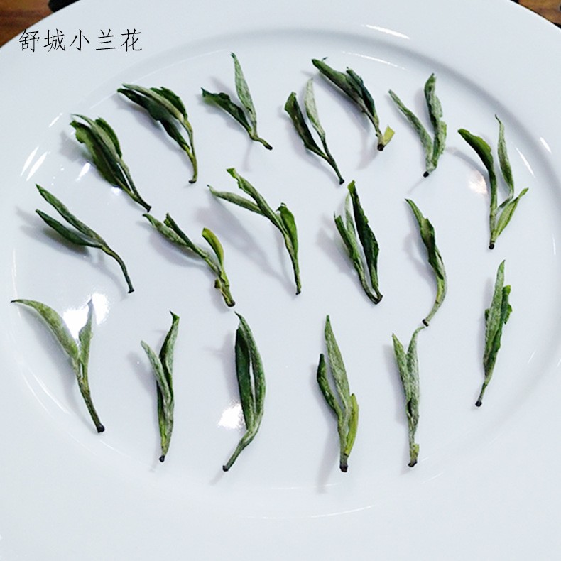 明后2021年新茶绿茶批发散装口感回甜醇香兰香舒之茗大货250g装图4