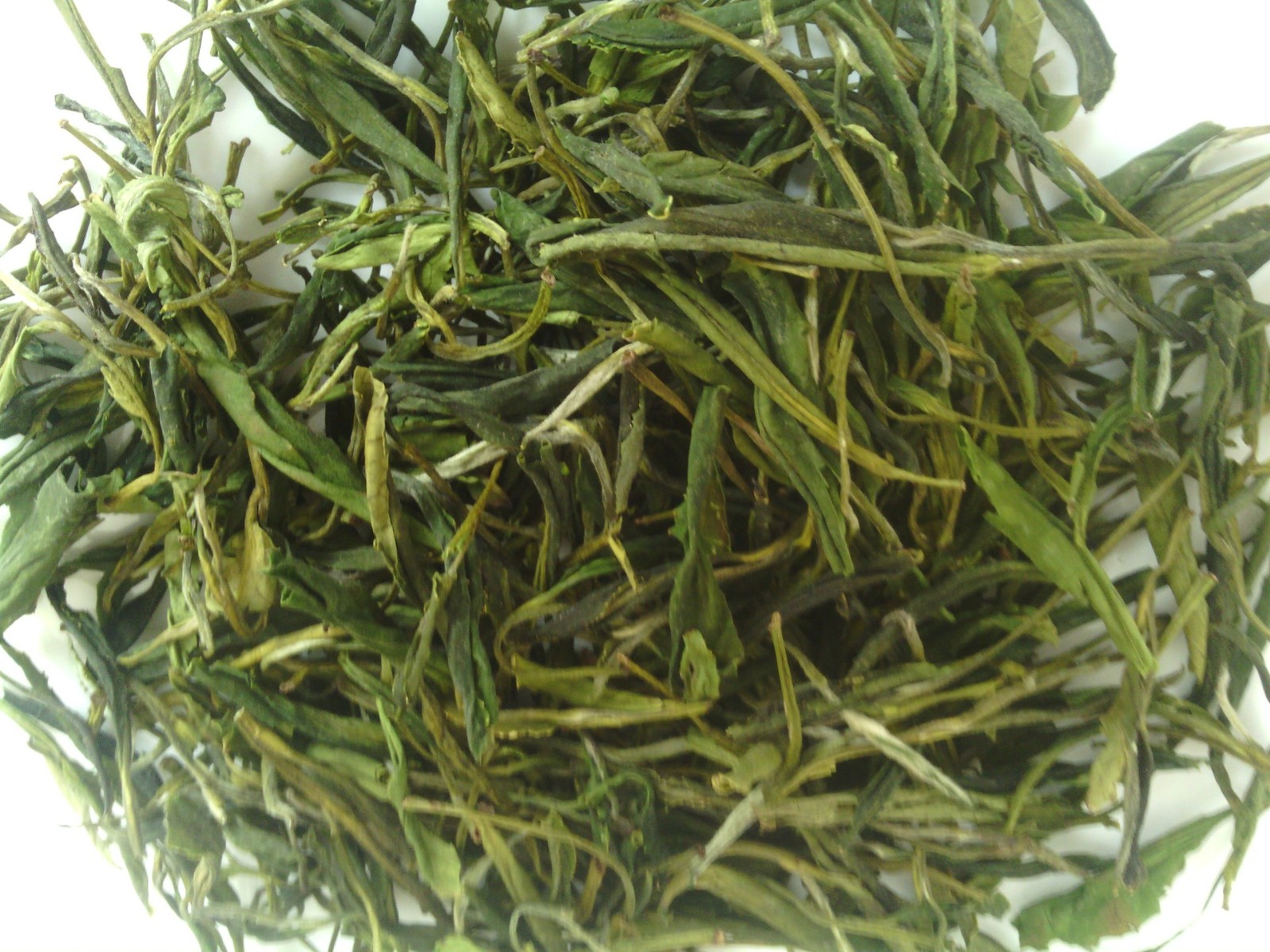 2021年 新茶上市 霍山黄芽 散装绿茶批发图3