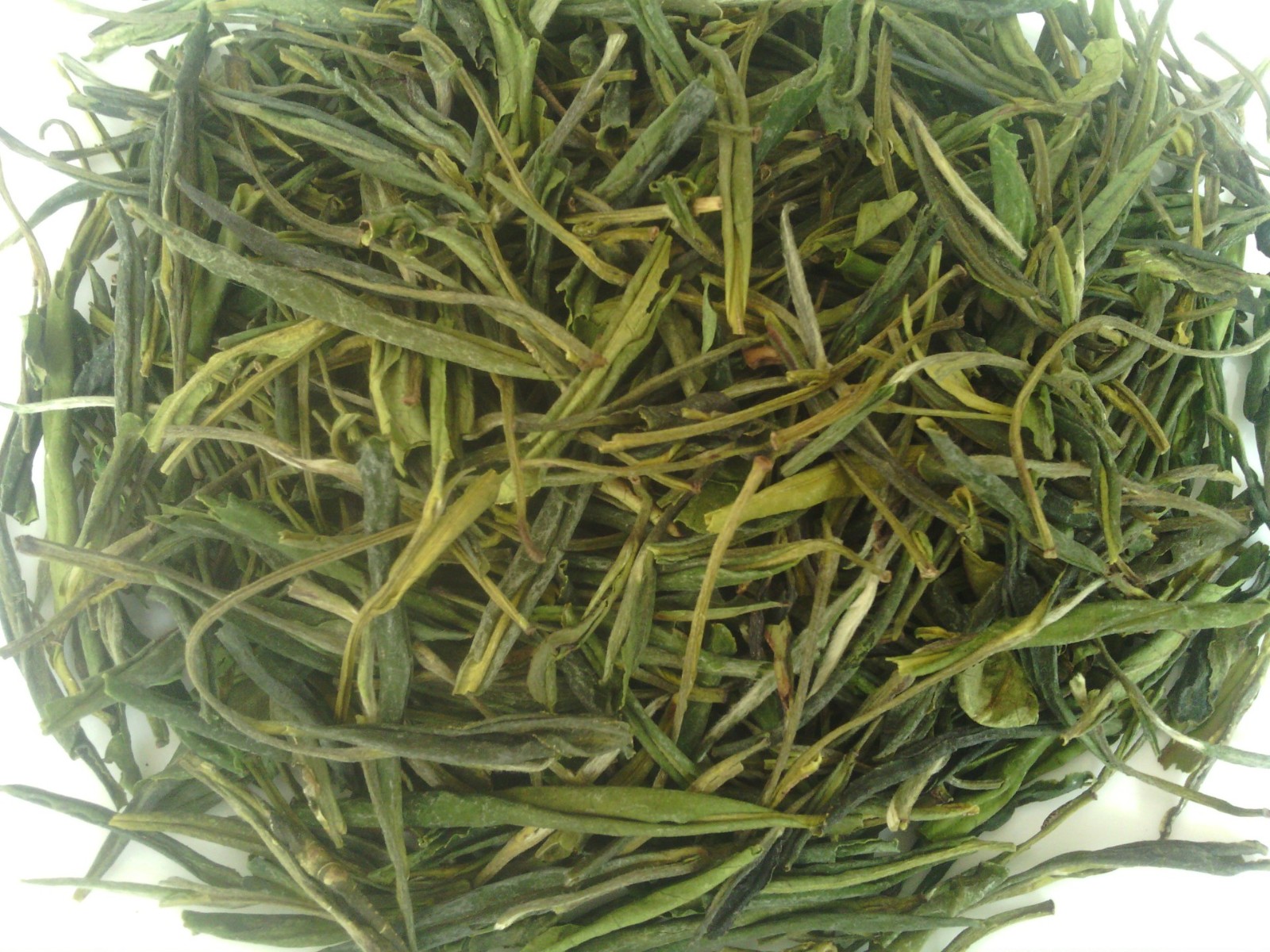 2021年 新茶上市 霍山黄芽 散装绿茶批发图5