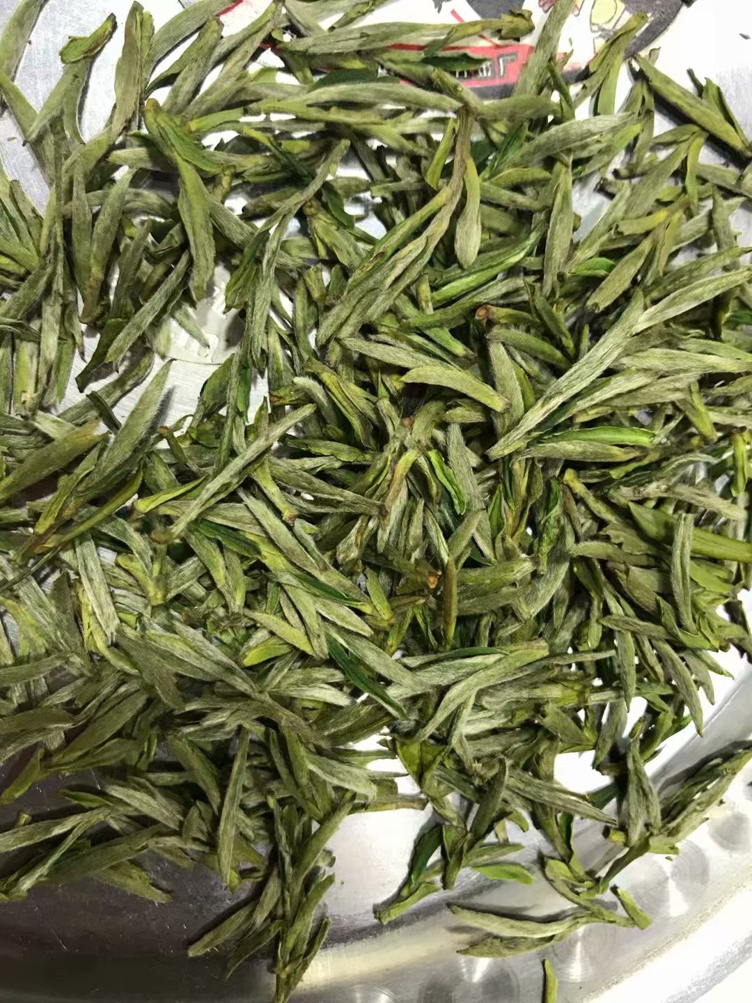 2021年黄芽 新茶上市 春茶 口感纯正 散装批发 价格优惠图4