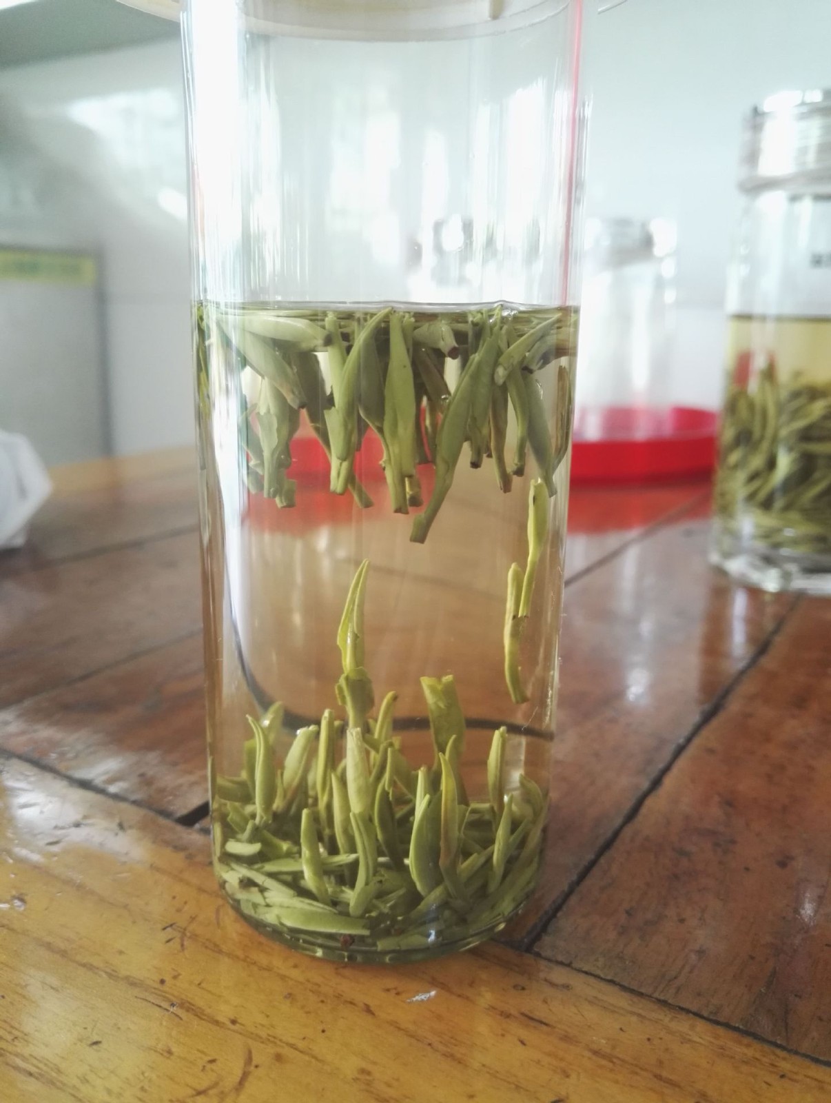 2021年新茶 贵州雀舌 绿茶500g散装茶叶批发图4