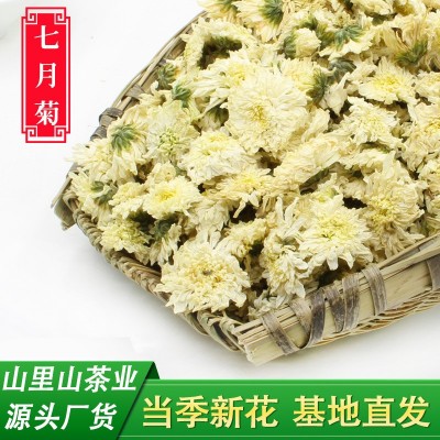 21年新花山里山安徽黄山贡菊散装菊花茶批发产地货源500克白菊花