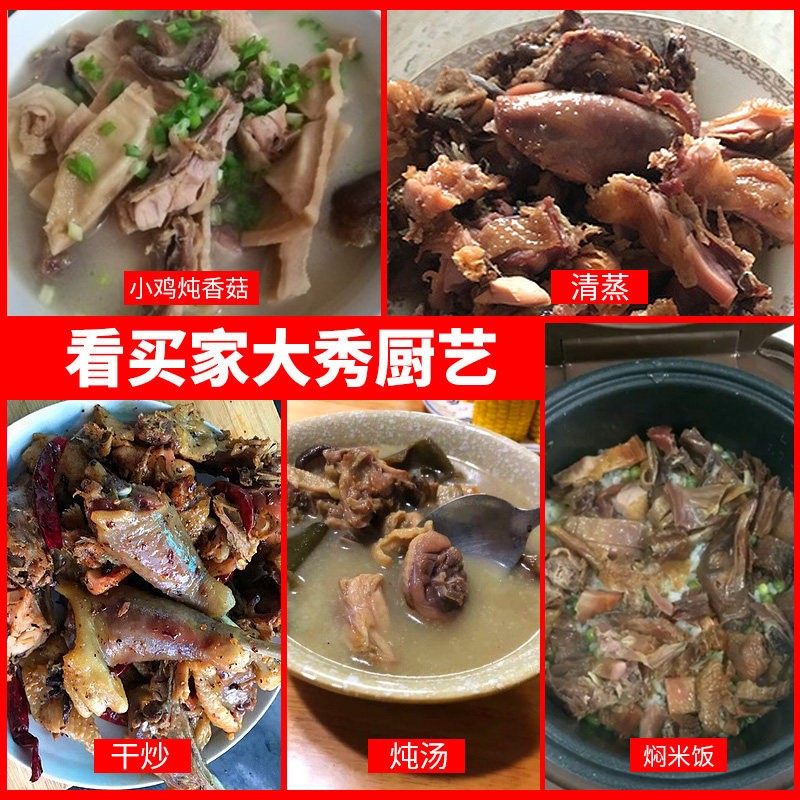 湖北土特产农家自制风干土鸡散养咸鸡腊鸡年货腊肉干货整只750g图4