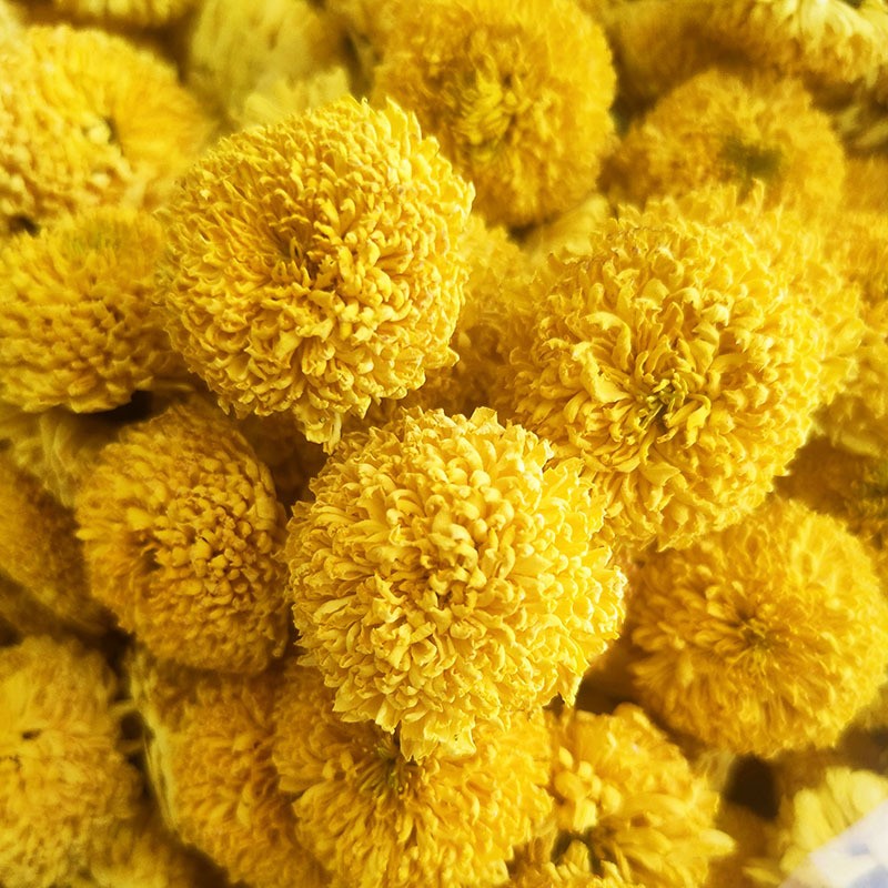 2021新花婺源黄菊散装 徽州皇菊 大朵菊花 菊花茶一朵一杯礼盒装图2