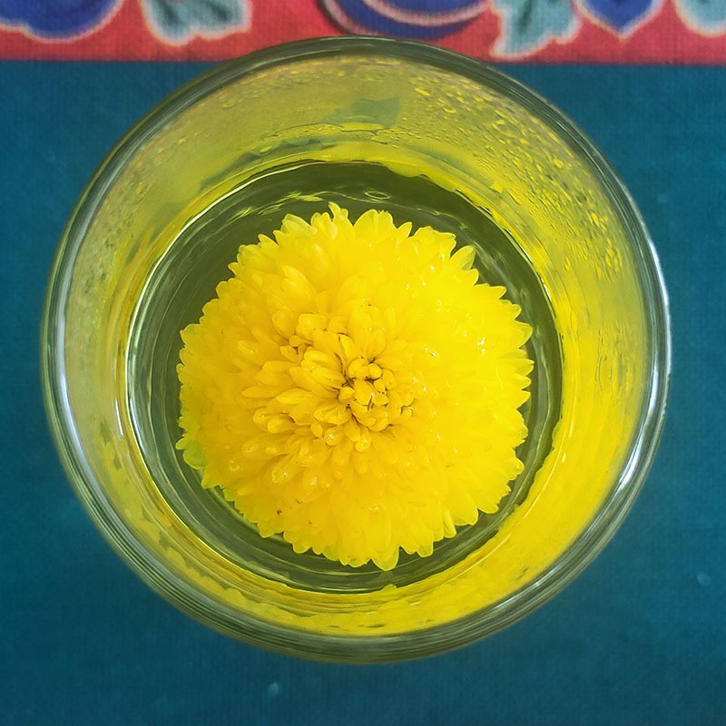 2021新花婺源黄菊散装 徽州皇菊 大朵菊花 菊花茶一朵一杯礼盒装图3