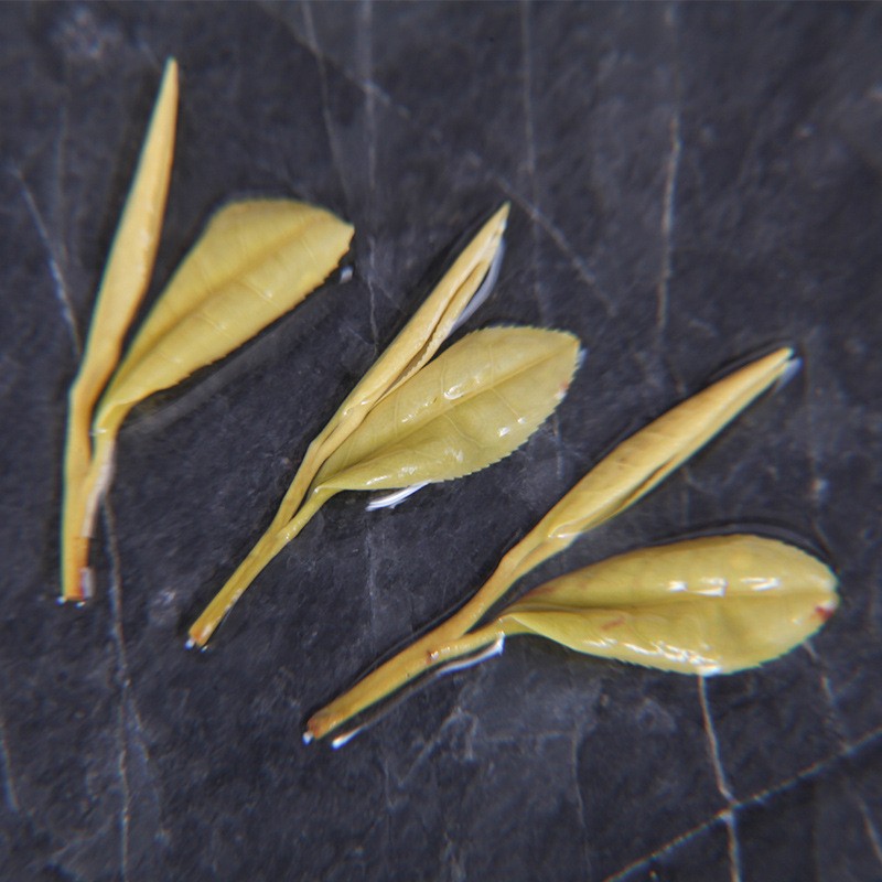 产地货源21年高山安吉黄金芽200g赠送罐装现货批零代发白茶新绿茶图3