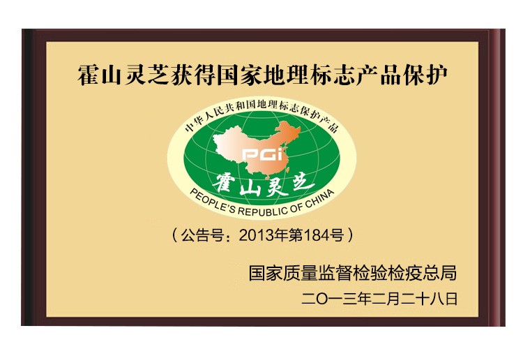 霍山灵芝孢子粉 套袋灵芝孢子粉 药房同款 有机霍山灵芝 厂家直批图2