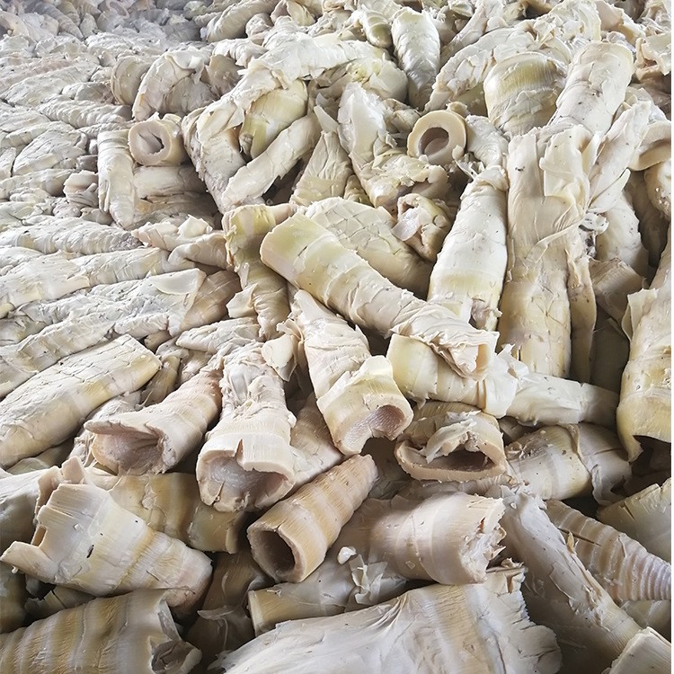 百笋园福建特产笋尾笋尖 乳酸发酵笋 厂家直销 现货批发 麻笋蔬菜图2
