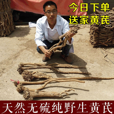 野生黄芪甘肃岷县无硫整条野生黄芪土特产正北芪可切片中药材批发